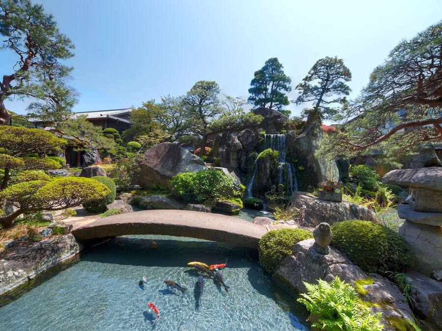A serene garden with a clear pond, koi fish, and traditional Japanese landscaping.