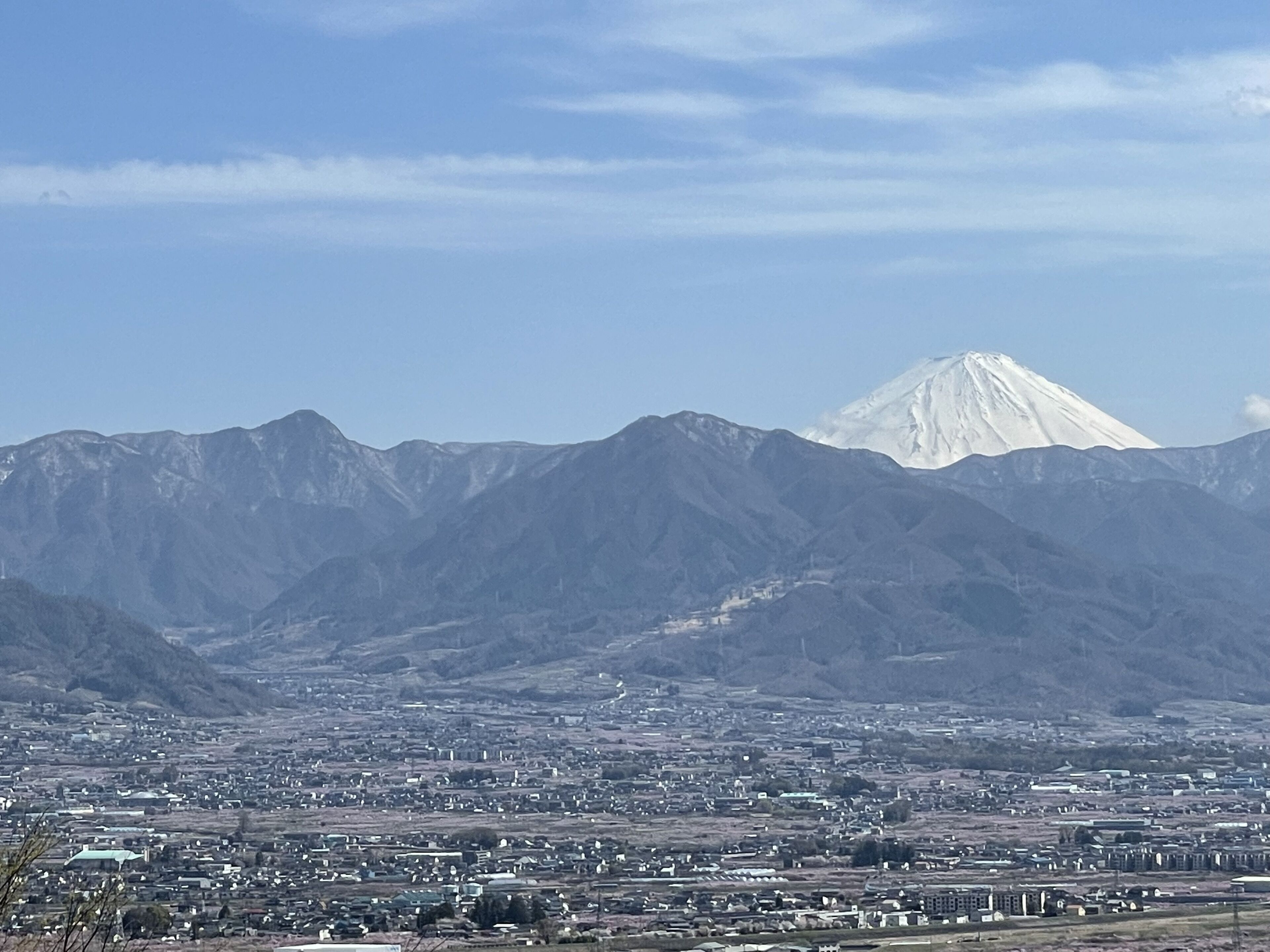 A cityscape with a prominent mountain in the background.
