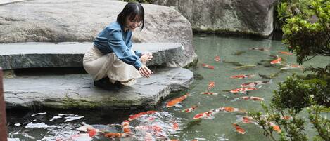 A person sitting on a stone ledge by a koi pond with large rocks and greenery in the background.