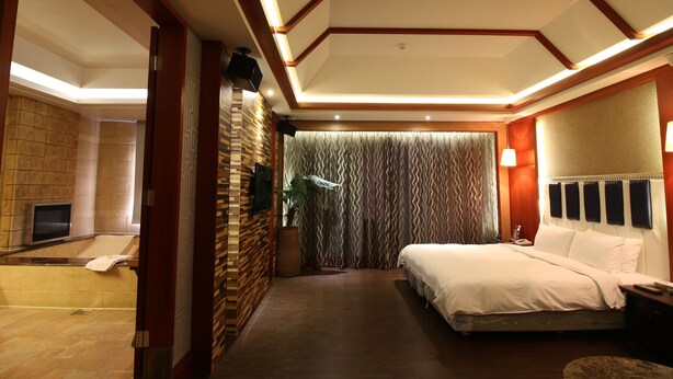 Habitación de hotel con una cama grande, televisión, baño con bañera y ducha.