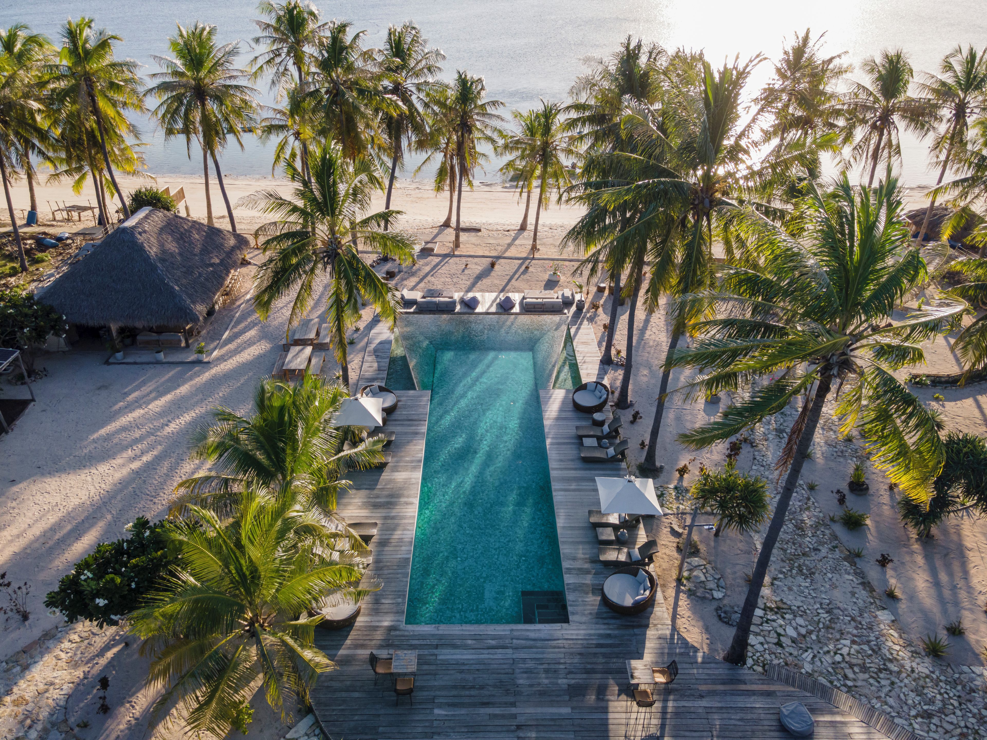 Un resort con piscina, sillas de descanso y palmeras.