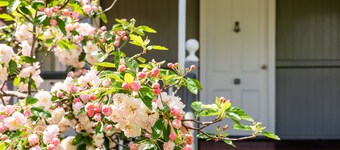 Apple Blossom Cottage