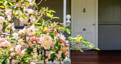 Apple Blossom Cottage