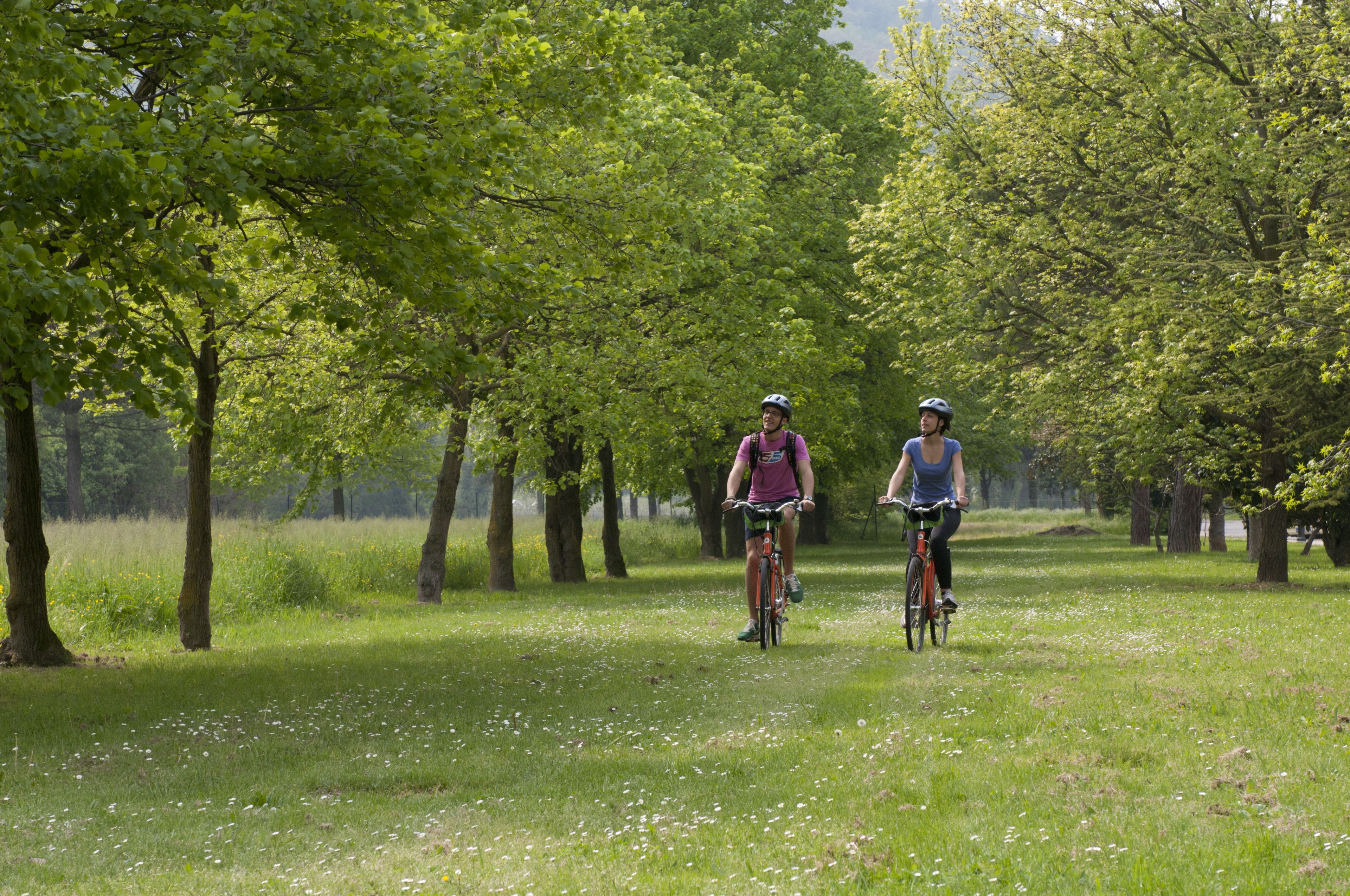 Bicycling