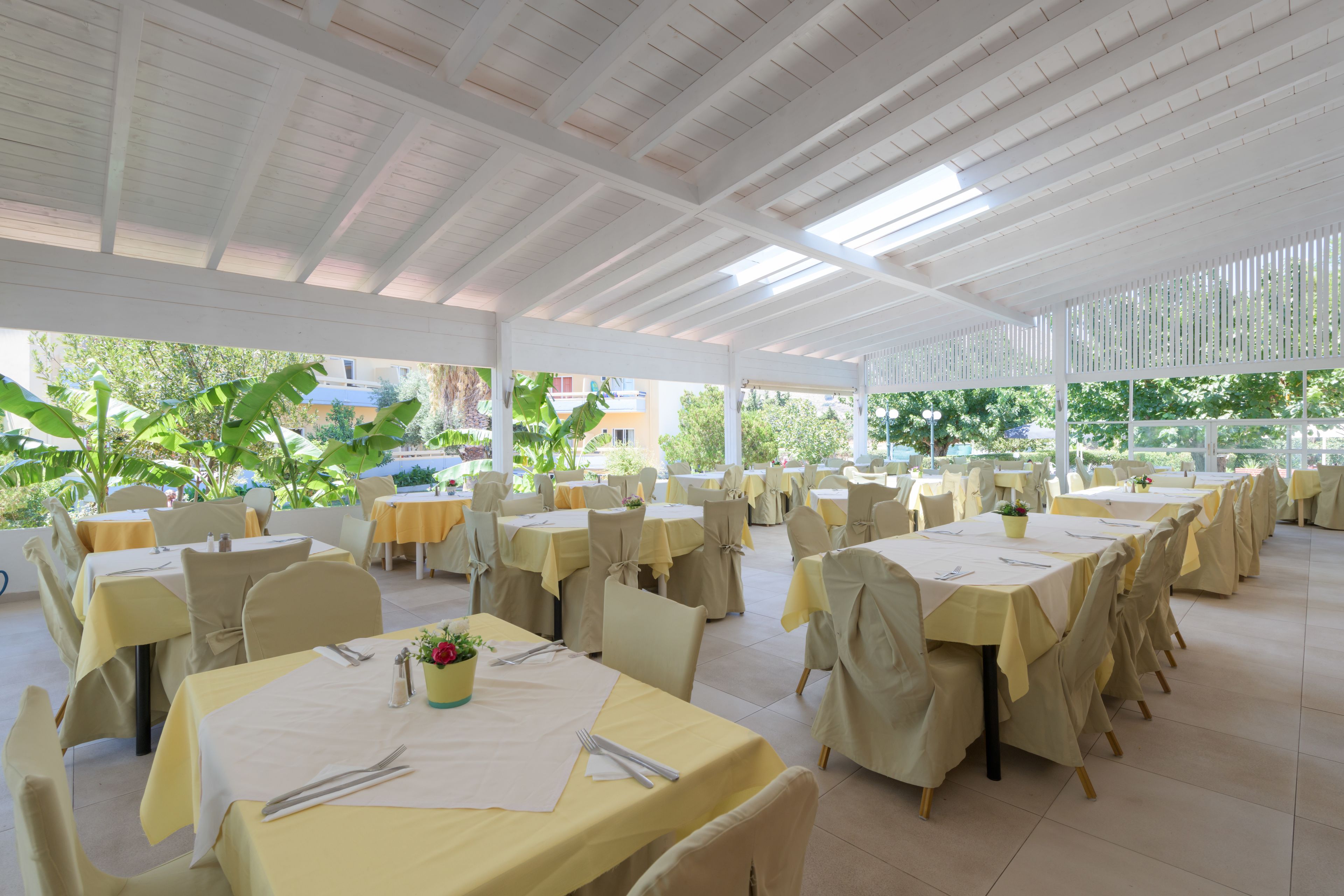 Foto - Golden Odyssey