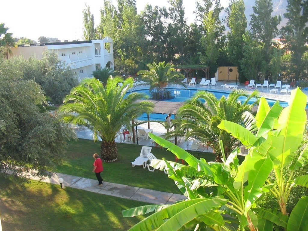 Un espace piscine avec des chaises longues et des palmiers.