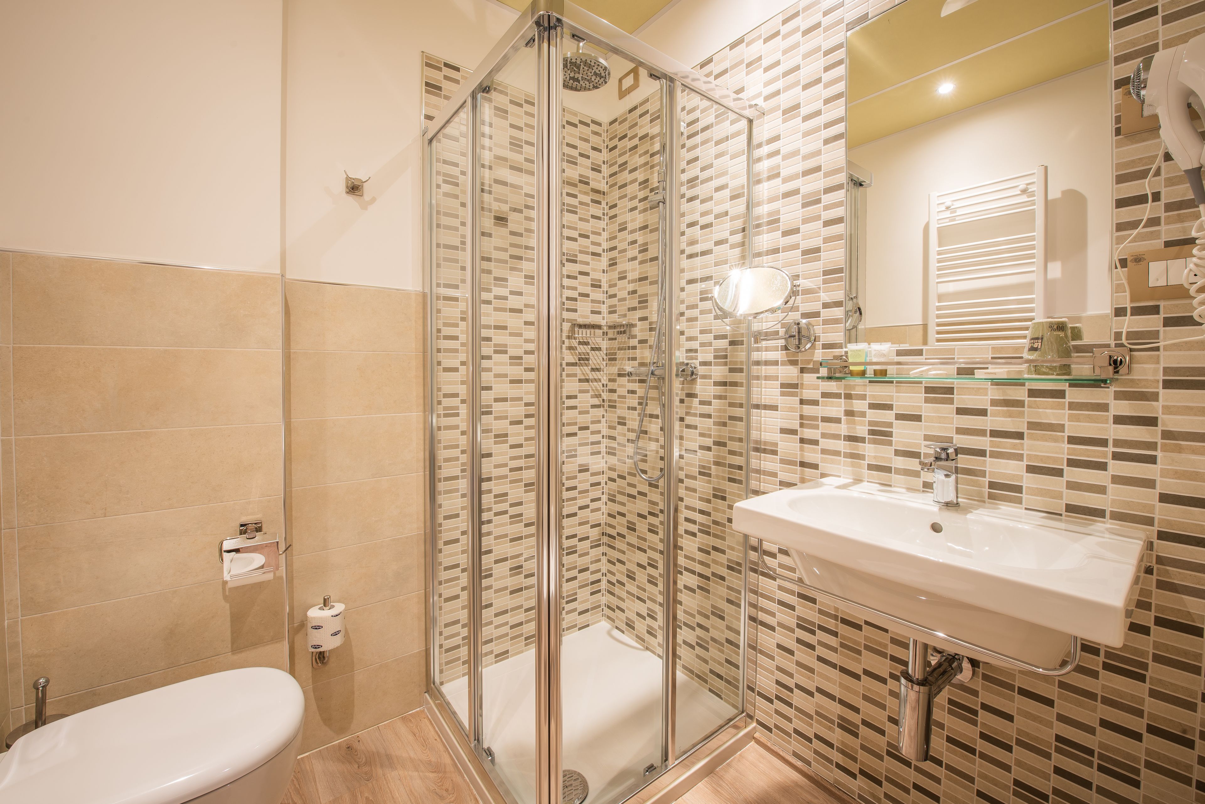 standard double room, ground floor | bathroom | shower, rainfall showerhead, free toiletries, hair dryer