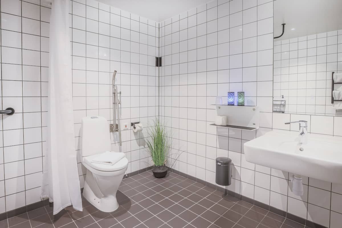 shower, free toiletries, hair dryer, towels