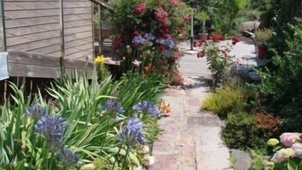 Un sendero de piedra que atraviesa un jardín con diversas plantas y flores.