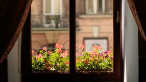 Ein Fenster mit Vorhängen, Blick auf ein Gebäude und ein Blumenkasten mit Blumen.