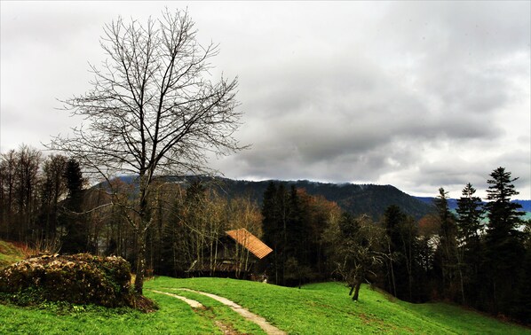 Un paisaje rural con un sendero que lleva a una casa rodeada de árboles y montañas.
