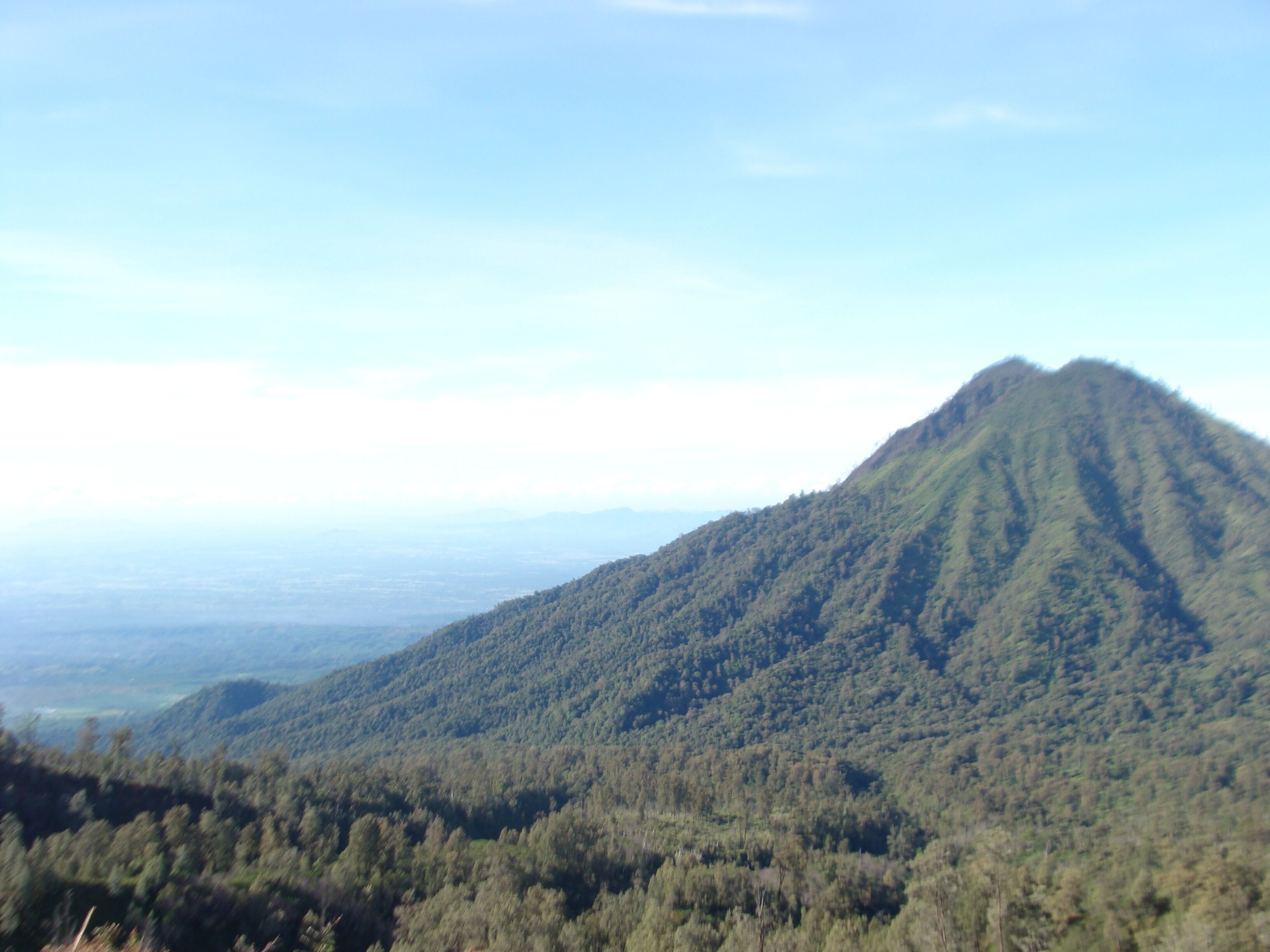 A mountain with dense forest coverage.