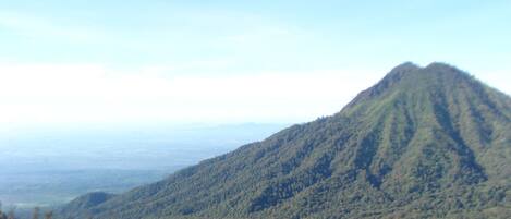 A mountain with dense forest coverage.
