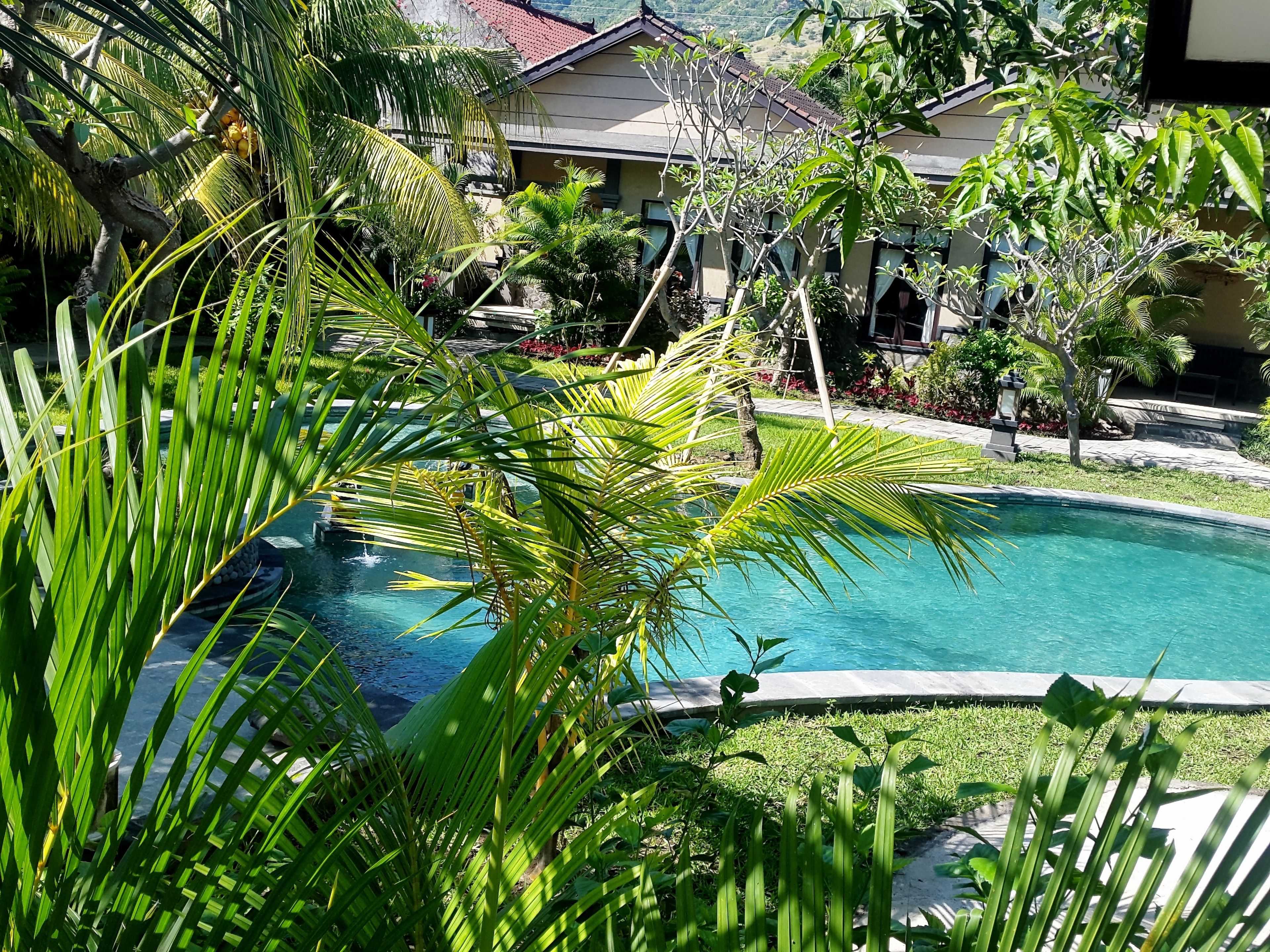 A pool surrounded by lush greenery, with a house in the background.