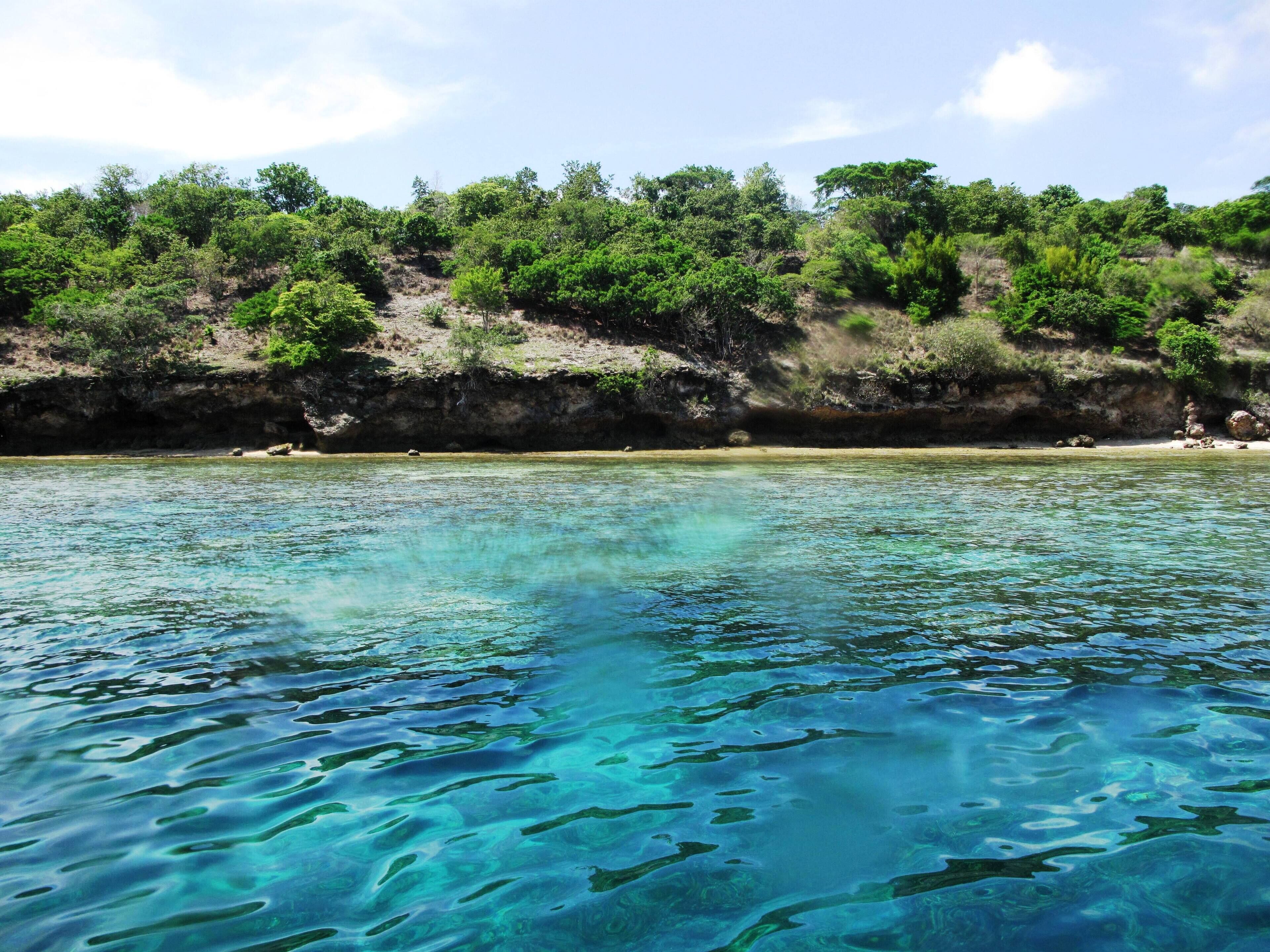 A clear view of a beach with calm waters and a rocky cliff with dense vegetation.