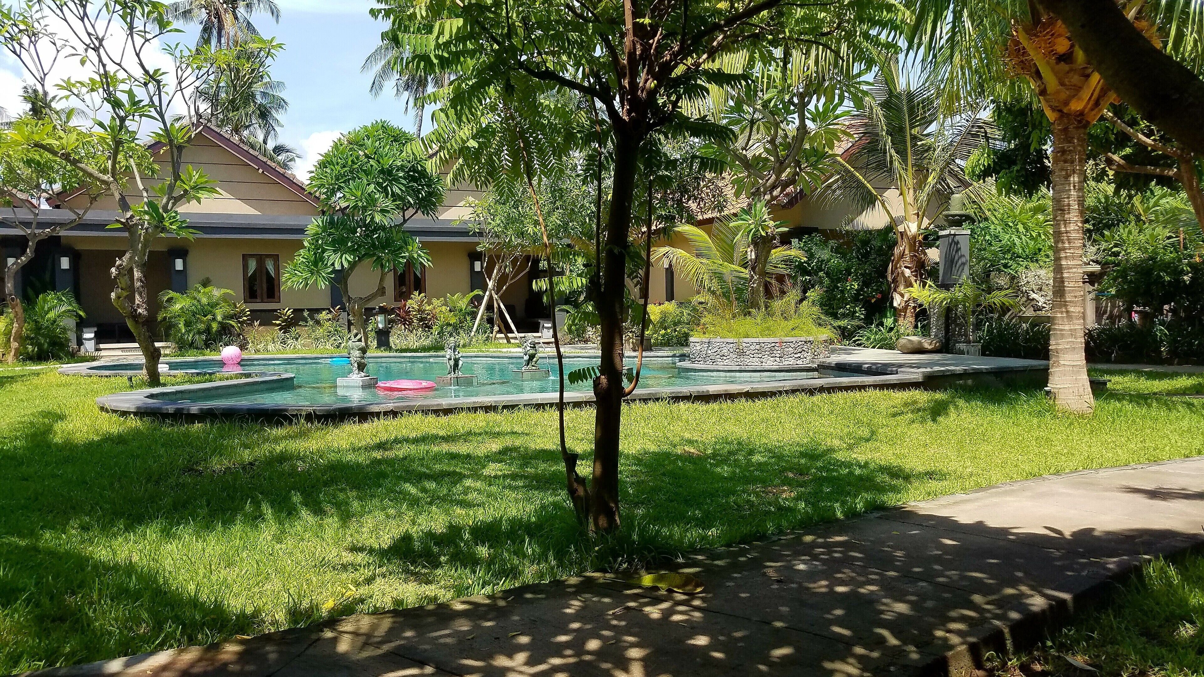 A well-maintained garden with a swimming pool, surrounded by lush greenery and palm trees.