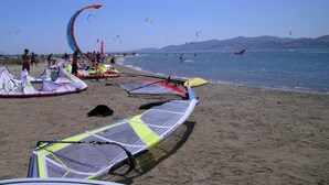 A beach with multiple kites and windsurfing equipment.