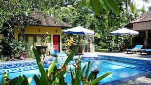 Une piscine aux carreaux bleus, entourée d’une végétation luxuriante et agrémentée de deux parasols.