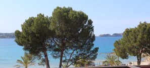 A coastal view with trees and a clear blue sea. - Hotel Creta Paguera (Calvia)