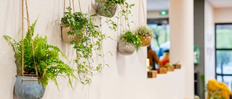 Hanging planters with green plants on a wall in a room with tables and chairs.