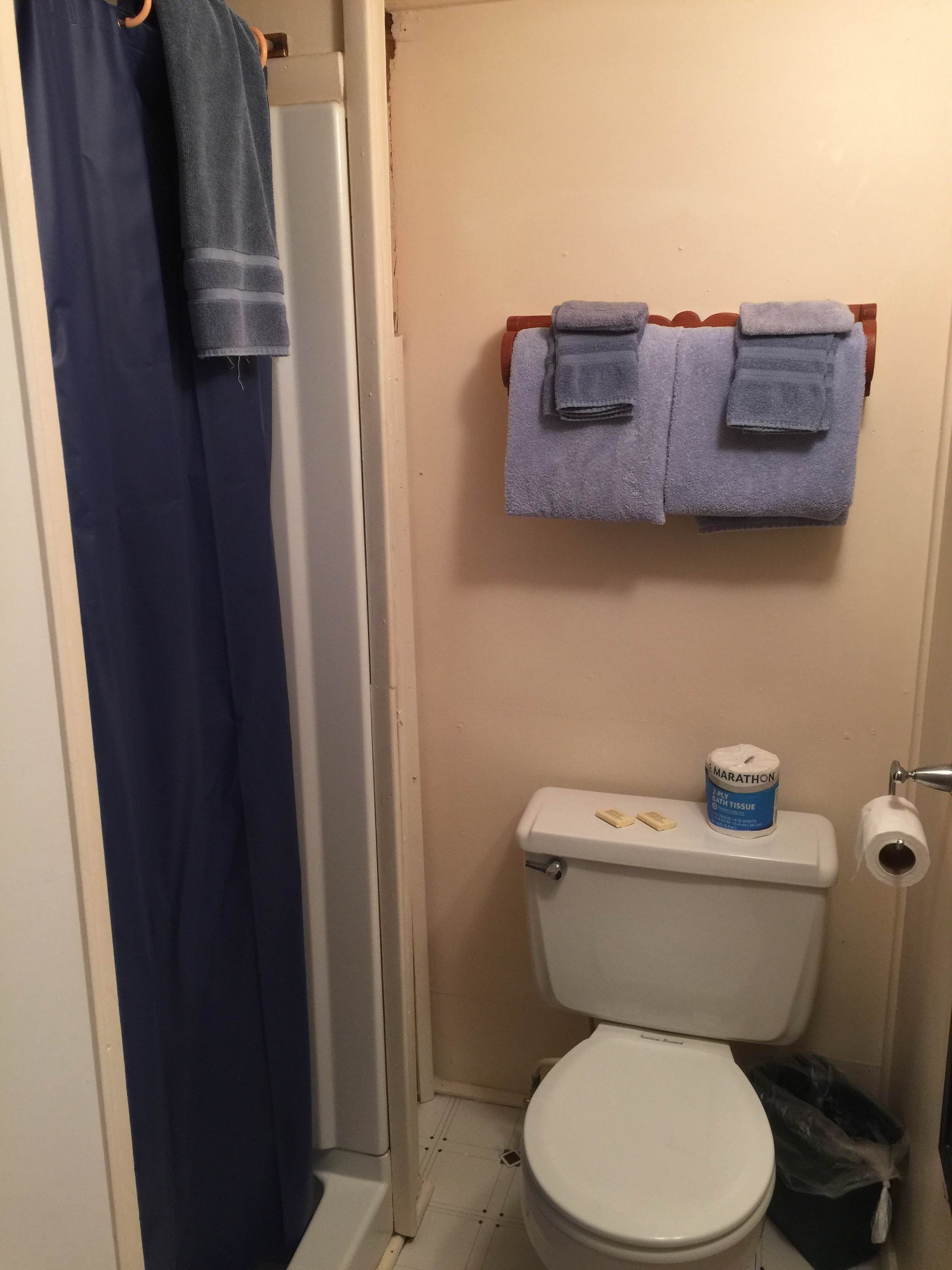 A small bathroom with a toilet, a roll of toilet paper, a trash bin, and a blue shower curtain.