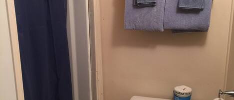 A small bathroom with a toilet, a roll of toilet paper, a trash bin, and a blue shower curtain.