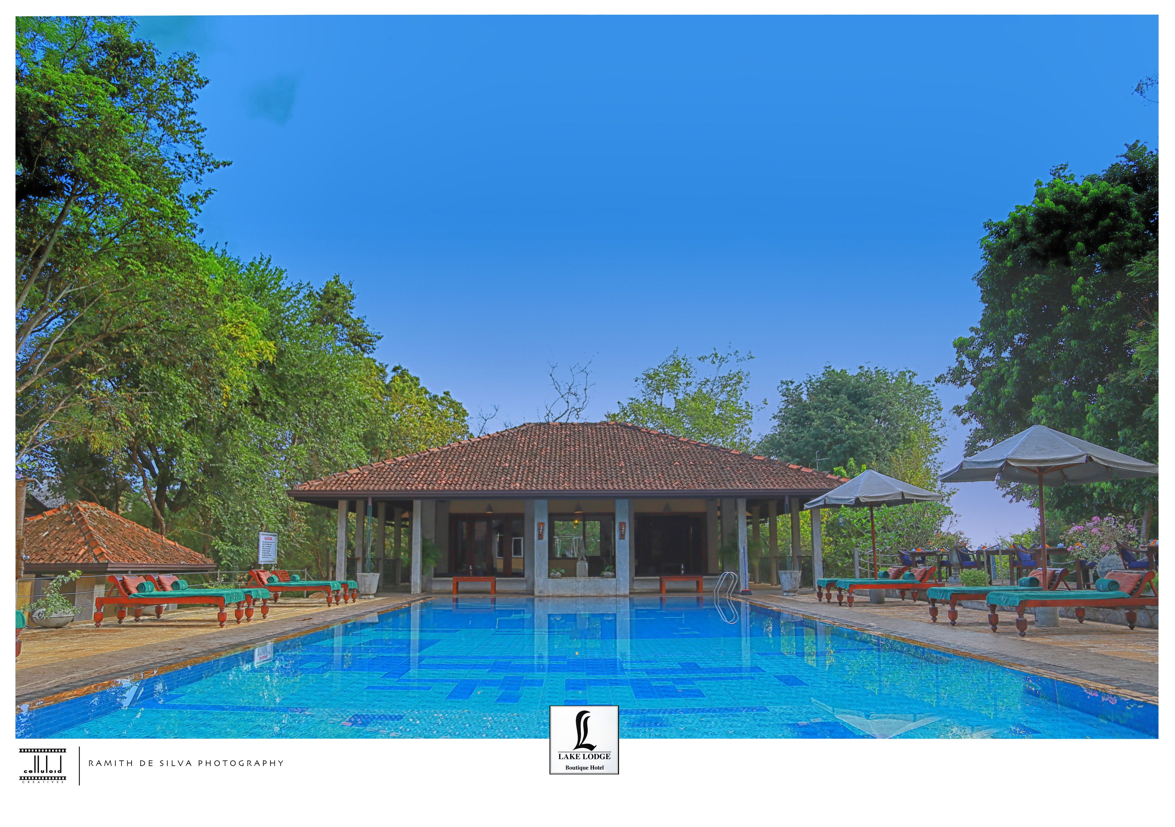 A swimming pool with lounge chairs and umbrellas, surrounded by trees and a pavilion.
