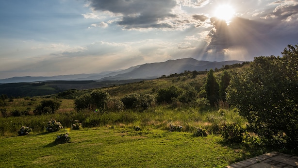 A grassy landscape with a mountain range in the distance and a clear sky.