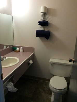A bathroom with a sink, toilet, and towel rack.