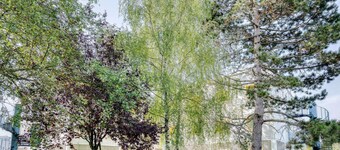 ibis budget Versailles Trappes