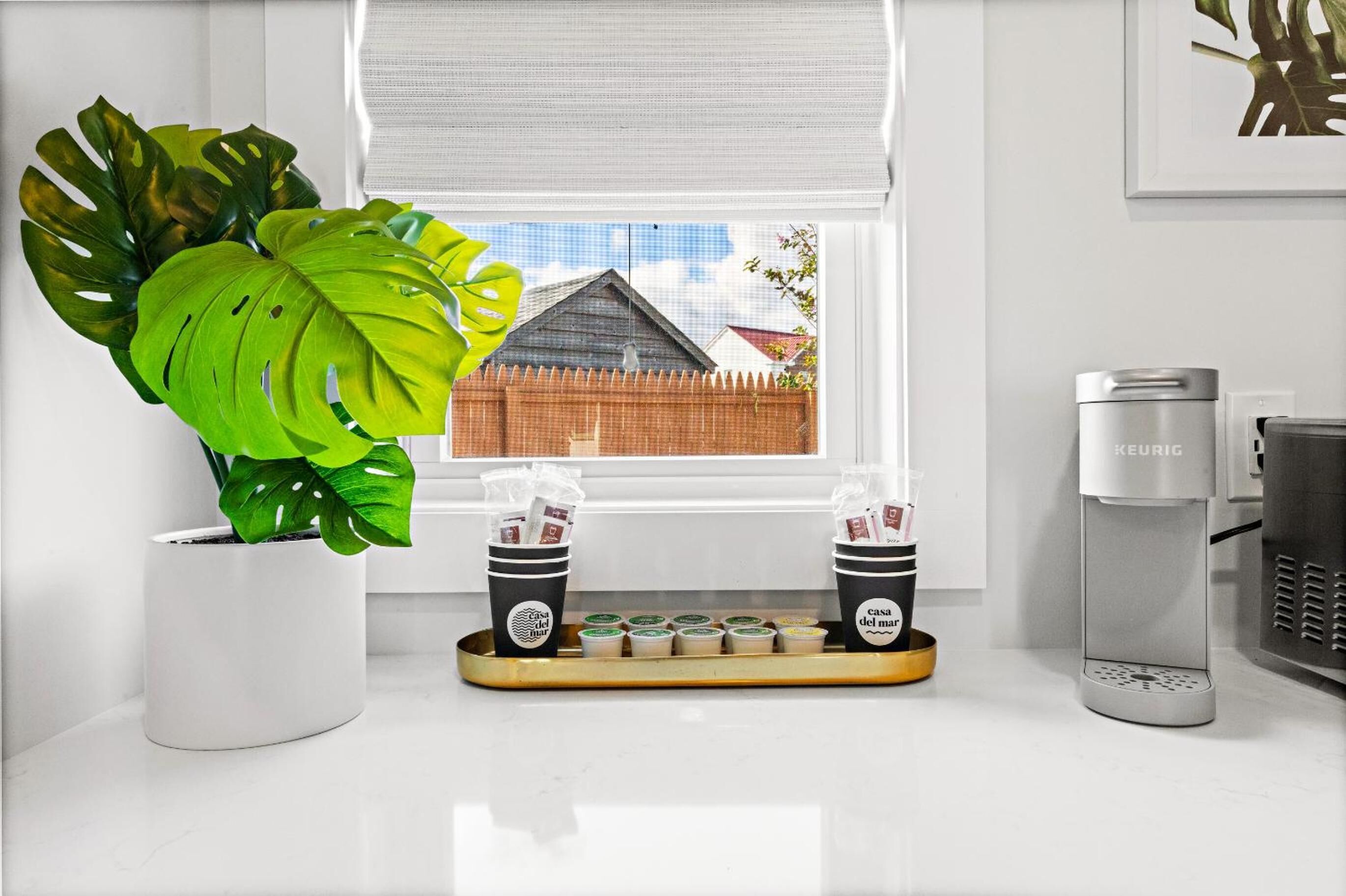Cozinha com cafeteira, duas chávenas de café, um tabuleiro com cápsulas de café e uma grande planta em vaso.