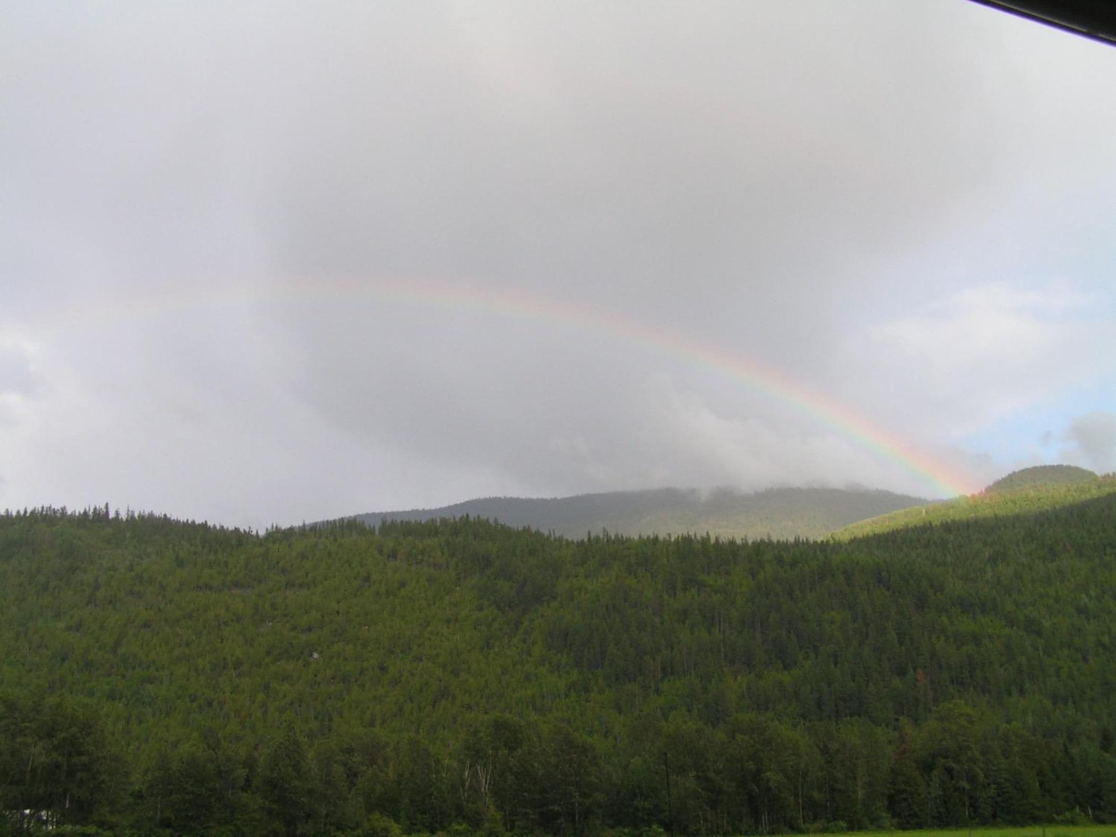 Un paysage boisé où l’on peut apercevoir un arc-en-ciel.