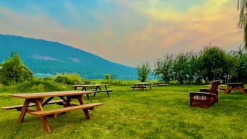 Aire de pique-nique/barbecue