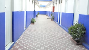 Un pasillo con paredes azul y blanco, plantas en macetas y suelo estampado.