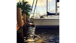 View from property - Middle River (Fort Lauderdale)