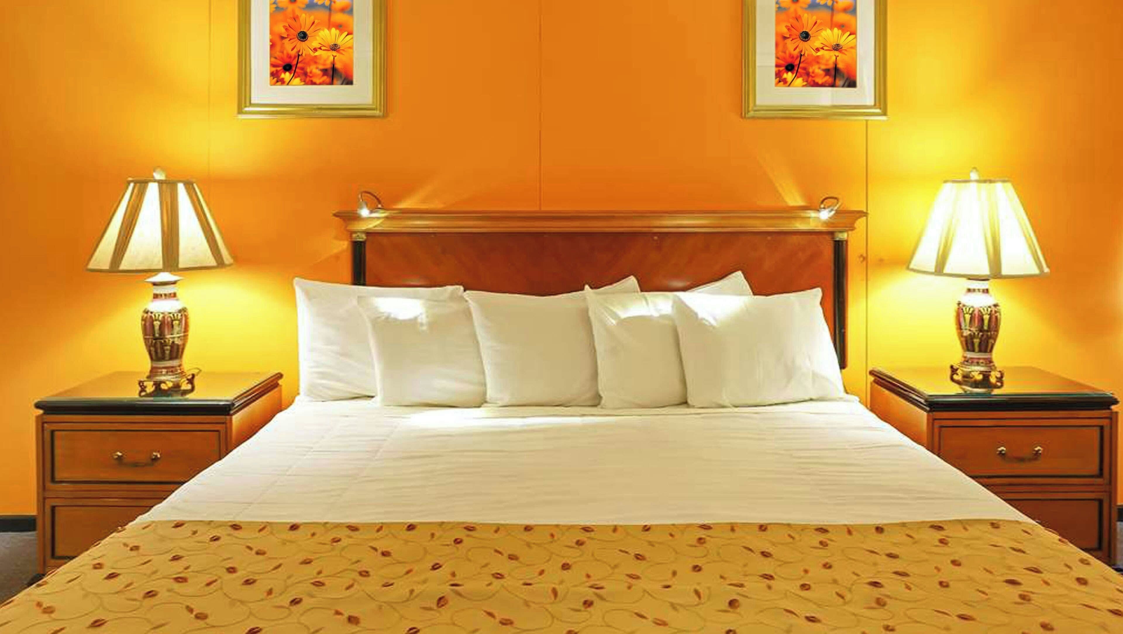 Room, 1 King Bed, Non Smoking, Refrigerator & Microwave | In-room safe, desk, iron/ironing board, free WiFi