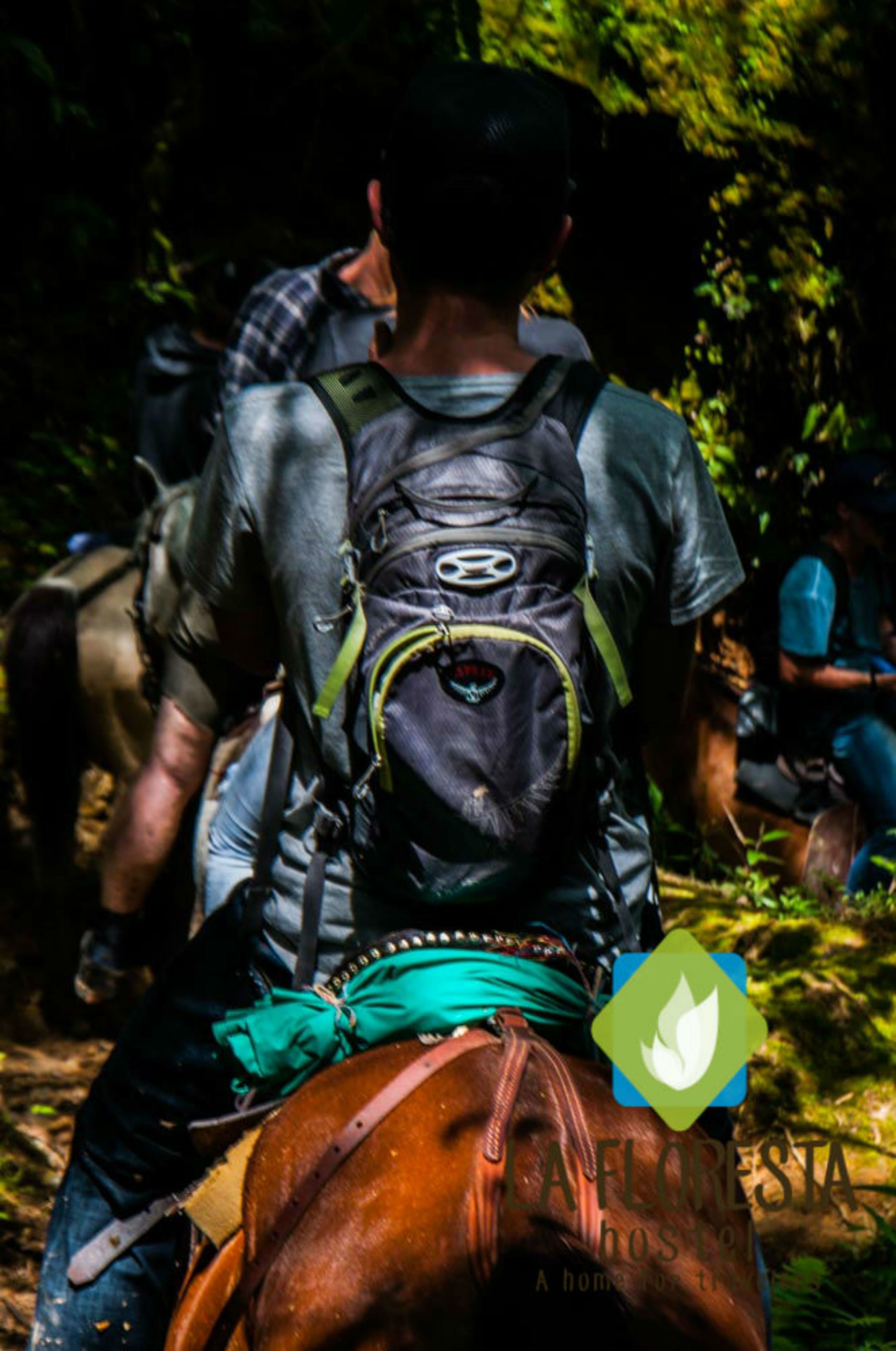 A person riding a horse with a backpack, surrounded by greenery.