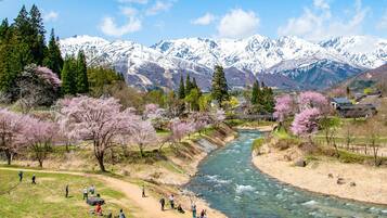 Une rivière traversée par un pont, entourée de montagnes enneigées et d’arbres en fleurs.