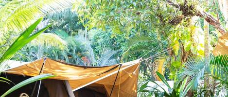 A tent set up in a lush, green environment with a few chairs around it.