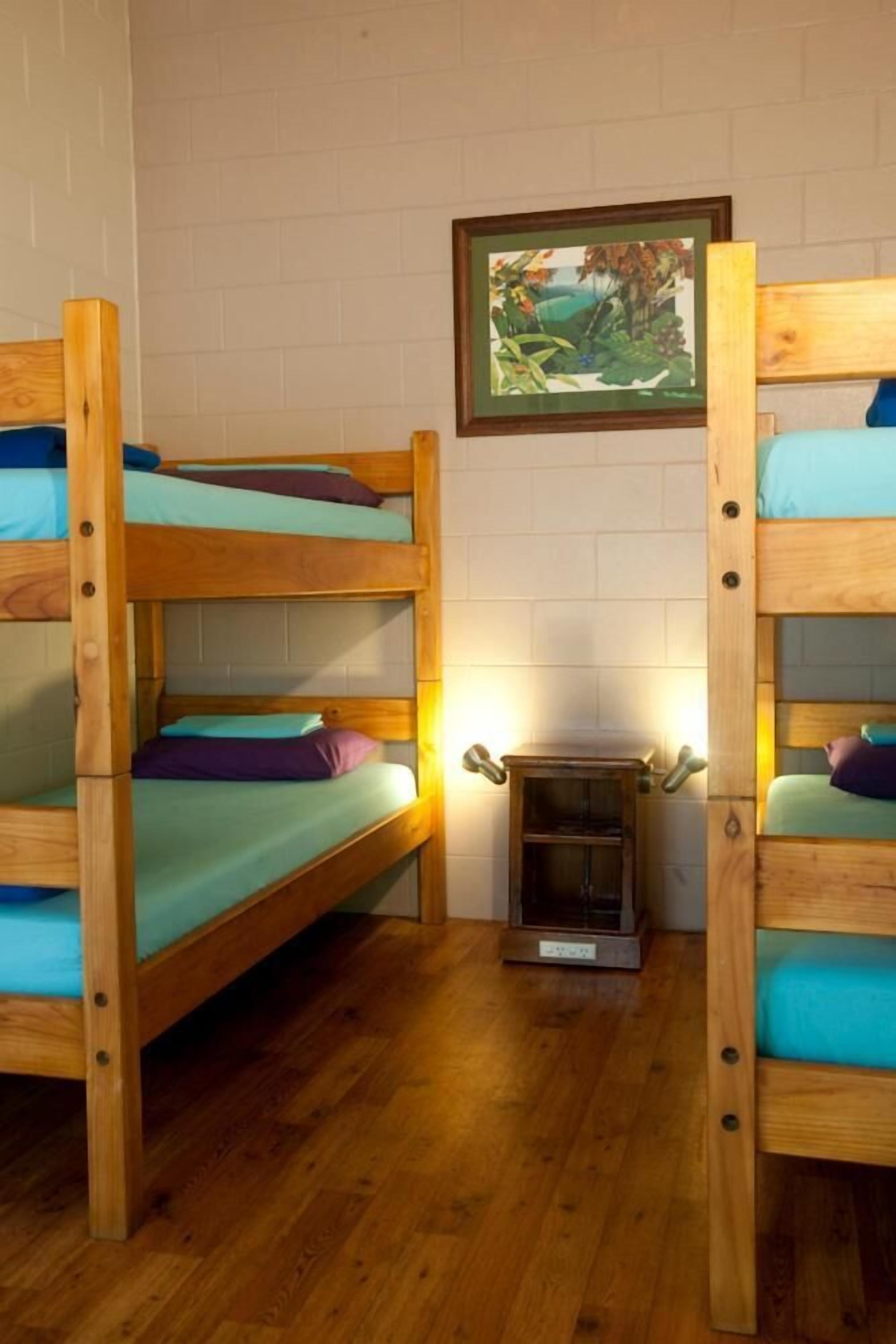 A room with two bunk beds, a small wooden table, and a framed picture on the wall.