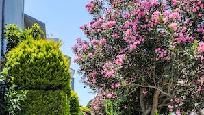 A stone-paved pathway flanked by neatly trimmed hedges and flowering plants, leading to a gated entrance. - Valentino Hotel (Rhodes)