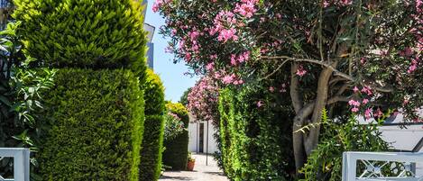 Un sentier pavé de pierres, bordé de haies soigneusement taillées et de plantes en fleurs, qui mène à une entrée fermée par un portail.