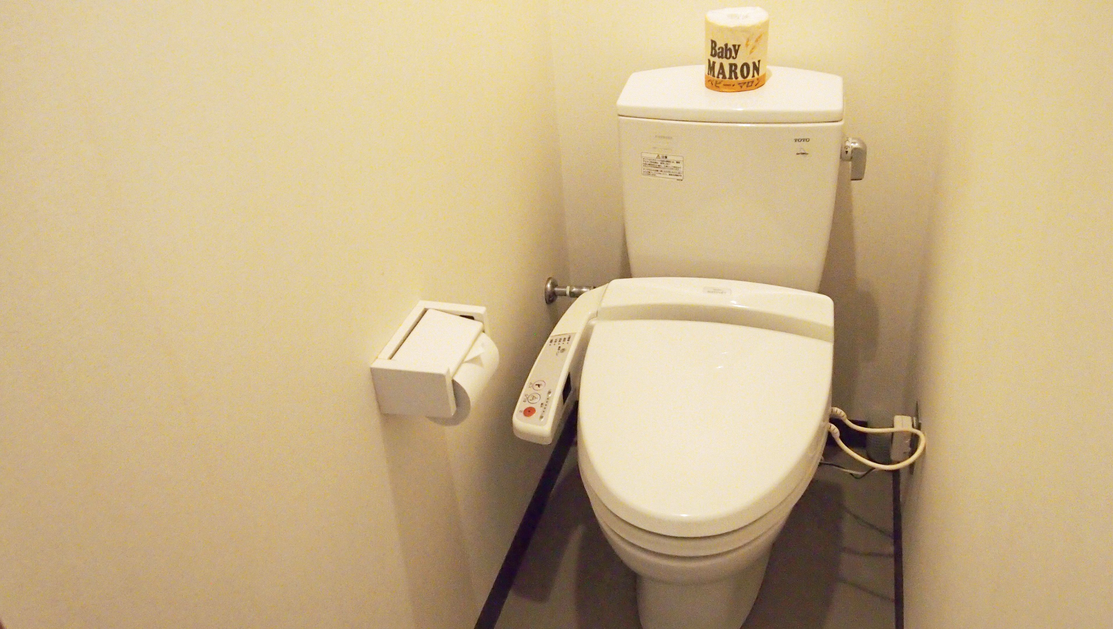 A toilet with a bidet attachment and a toilet paper holder.