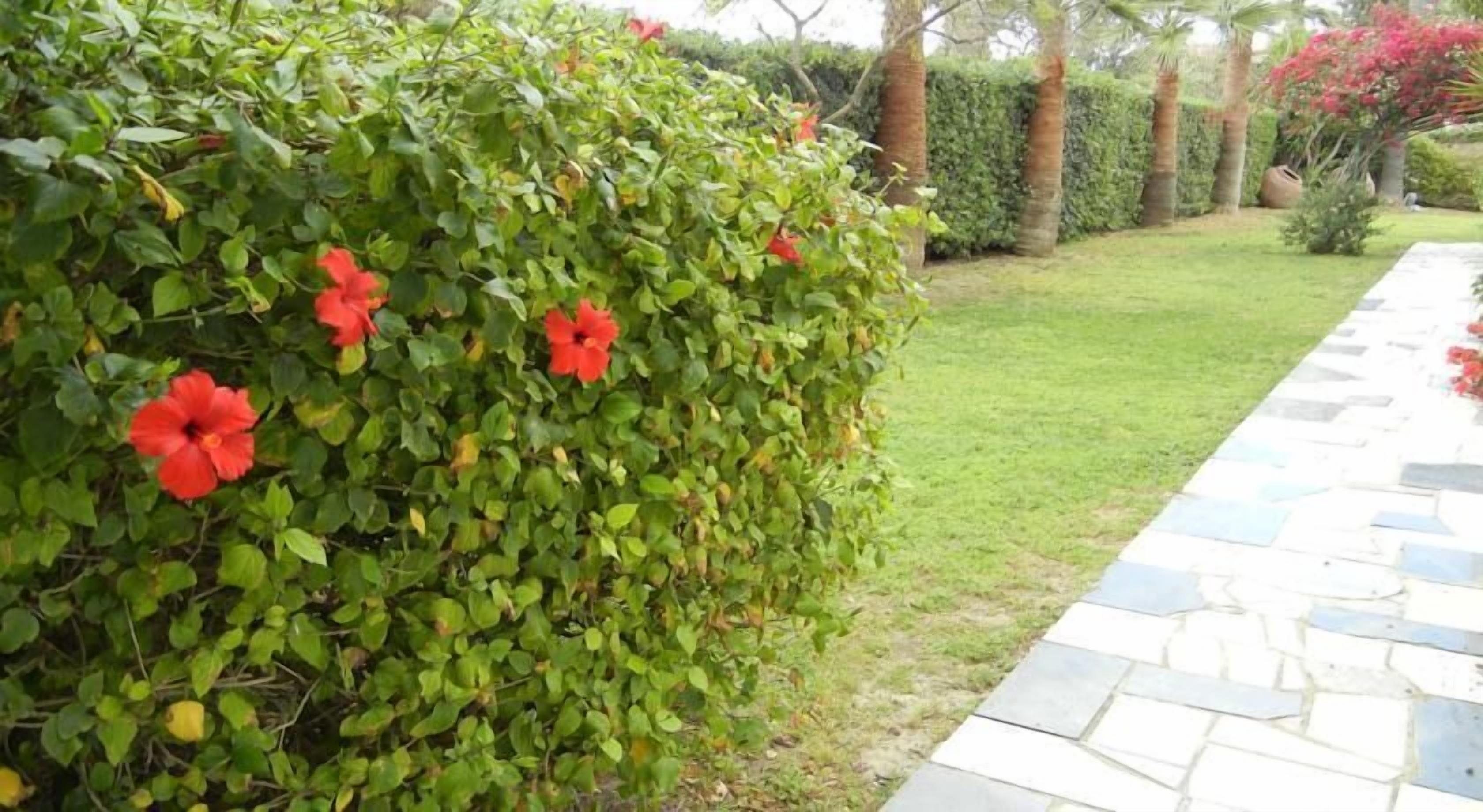 Foto - Tsialis Hotel Apartments