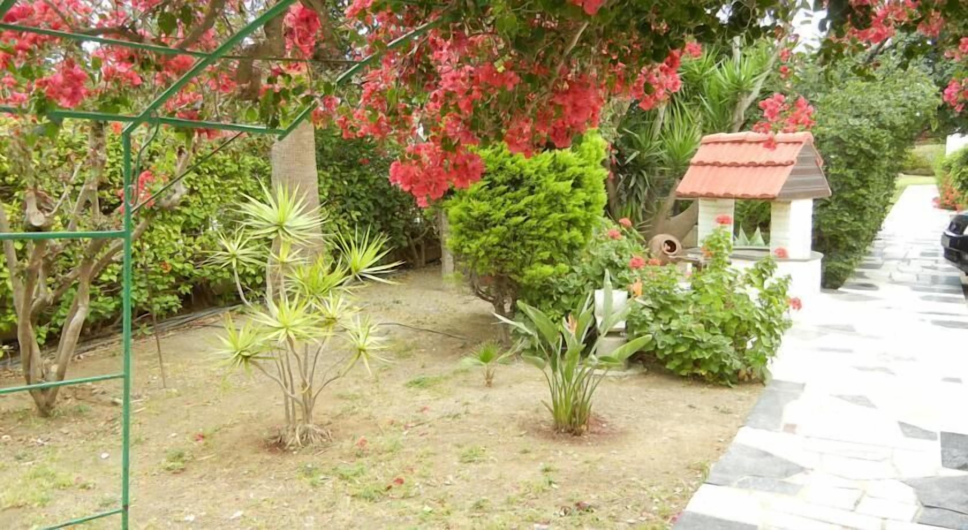 Foto - Tsialis Hotel Apartments