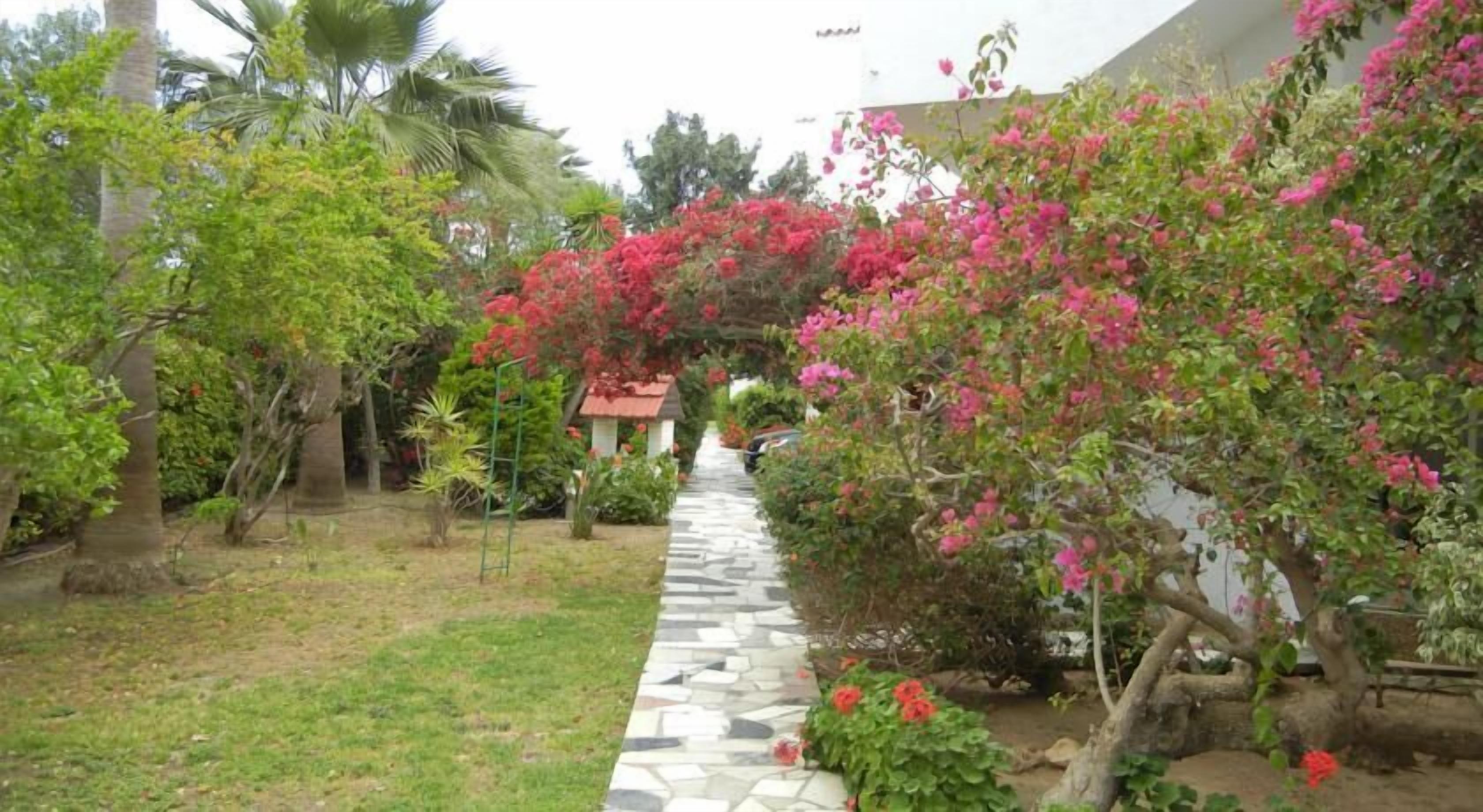 Foto - Tsialis Hotel Apartments