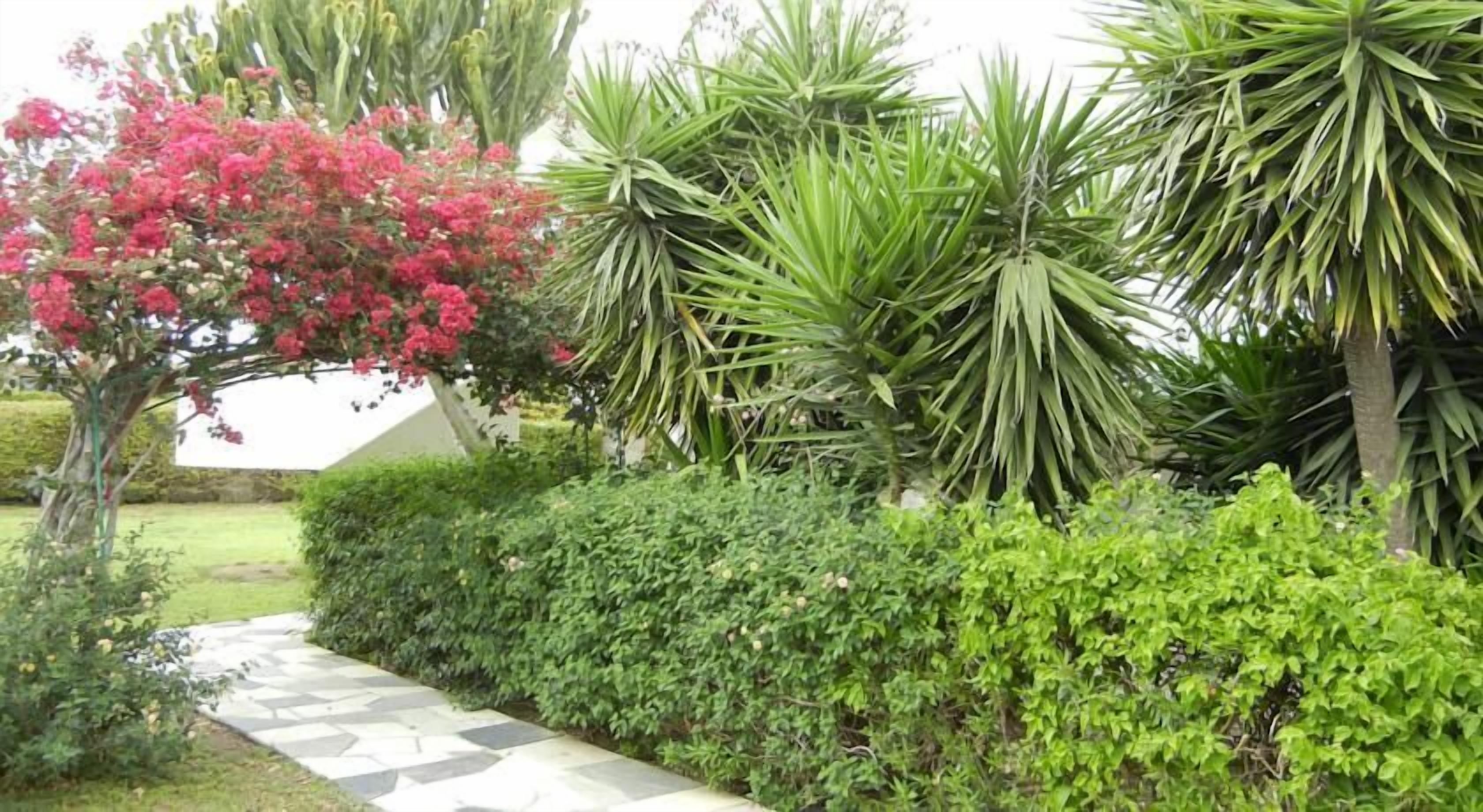 Foto - Tsialis Hotel Apartments