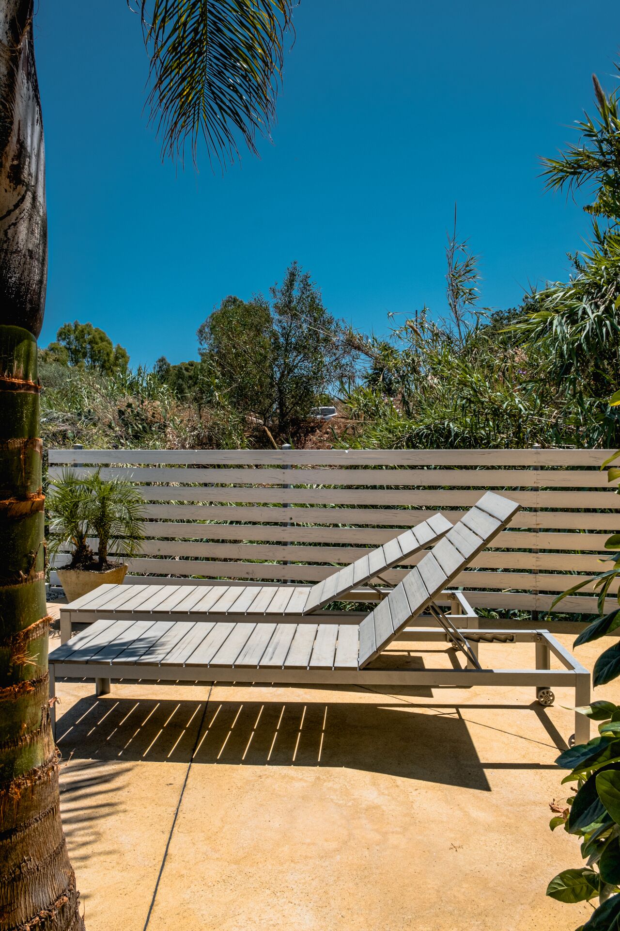 Una tumbona con estructura metálica y tiras de madera, ubicada en un patio de concreto con valla de madera y palmeras al fondo.
