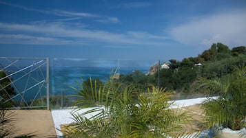 Vista desde la propiedad