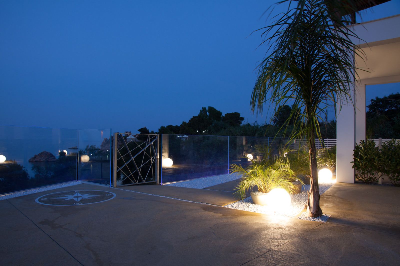 A rooftop terrace with a palm tree, a glass fence, and a concrete floor.